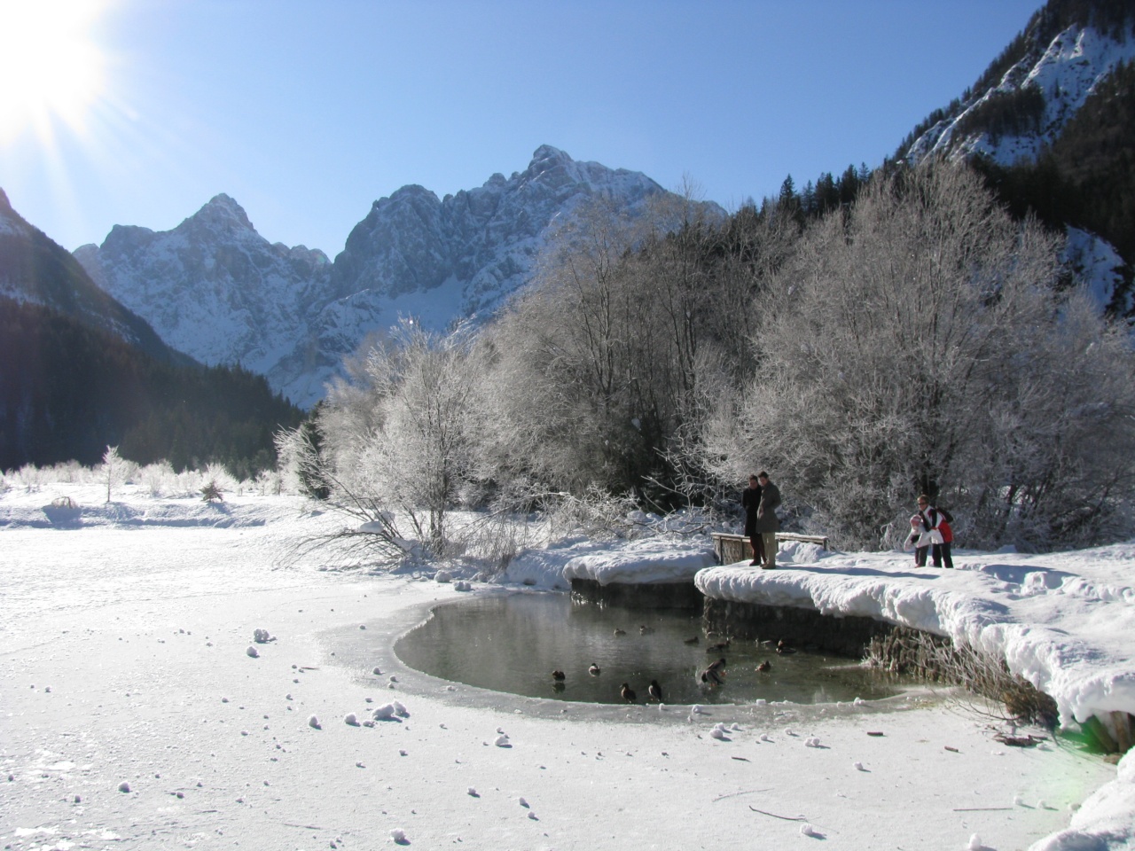 kranjska gora 2009 - rake