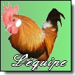 Les poules : Les Races Naines d'origine et/ou Réduction de Grande Race 1122-97