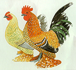 Les races de poules allemandes 7188-15