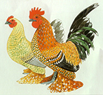 Araucana Naine et Grande race 9377-21