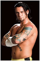 cm punk