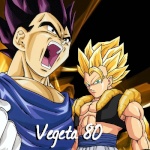 Vegeta80