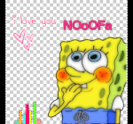 NOoOFa