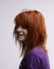 HAYLEY WİLLİAMS Normal12