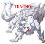 tiincho