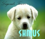 shmus