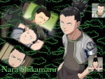 shikamaru nara