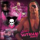 Bret hart 'the hitman'