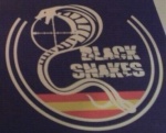 blacksnakes