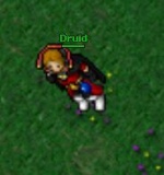 Druid