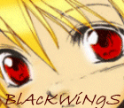 BlAcKWiNgS