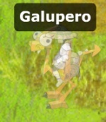 Galupero