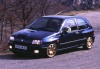 Renault Clio Williams 

Moteur : 4 cylindres en ligne 1998 cm³ 16 soupapes 
Puissance Maxi : 150 Ch (110 Kw) à 6100 tr/min (Régime Maxi 6500 tr/min)
Couple Maxi : 175 Nm (17.8 mKg) à 4500 tr/min (~ 112Ch)
Poids CEE en ordre de marche : 1083 Kg (le plus élevé mesuré)
Rapport Poids/Puissance : 7.22 Kg/Ch & 102 Kw/T
Vitesse Maxi : 214 Km/h 
400m DA : 15.7 s. 
Km DA : 29.1 s. 
0 à 100 : 8.1 s. 
0 à 180 : 34.8 s. 
80 à 120 en 4 : 7.8 s. 
80 à 120 en 5 : 11.5 s. 
100 à 0 : 51 m. 
130 à 0 : 81.8 m. 

Consommation mixte normalisée : 8.6 L/100 - sportive : 13.5 L/100
Année de lancement : 1993