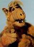 Alf