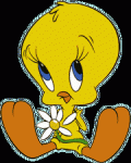 tweety