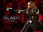 Blade