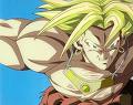 broli