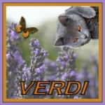 VERDI