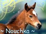 Nouchka