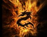 Dragon_Tenebreux