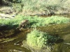 L'eau, c'est drolement chouette (surtout quand il fait chaud et qu'elle est pleine d'algues :p )