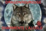 Dragonrourouge