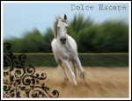 Dolce Escape