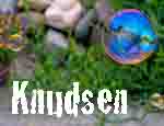 Knudsen