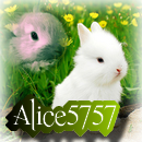 alice5757