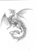 Dragons-Créatures Dragon10
