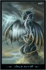 Dragons-Créatures Waitin10