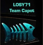LOSY71