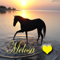 Melosa ♥