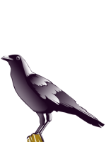 Raven Darklight