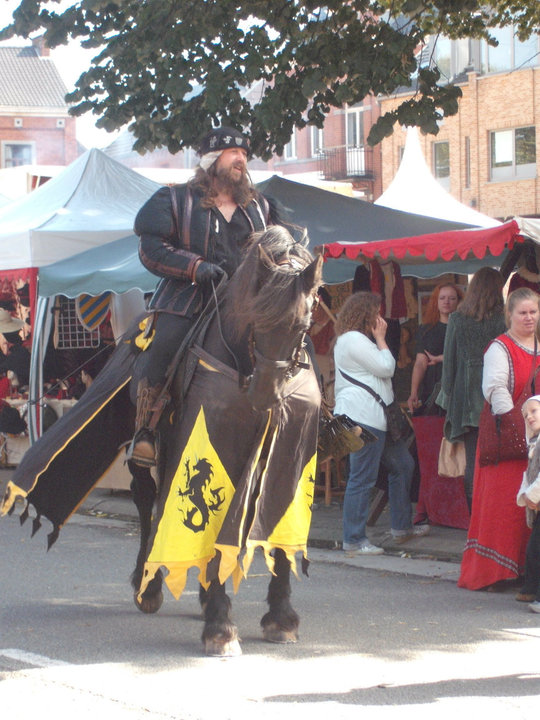 Un noble Seigneur sur son fidèle destrier