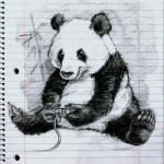 Panda Bear