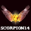 scorpion 14