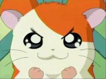 Hamtaro