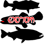 Exotom