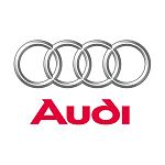 Ernestas_Audi