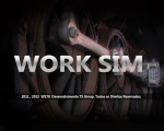 WORK SIM®