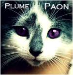 Plume de Paon