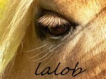 lalob-