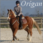 Origan