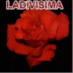 ladivisima