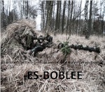 -ES-BobLee