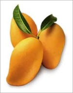 mangoes