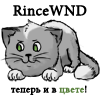 RinceWND