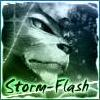 StormFlash