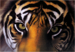 EyeOfTiger